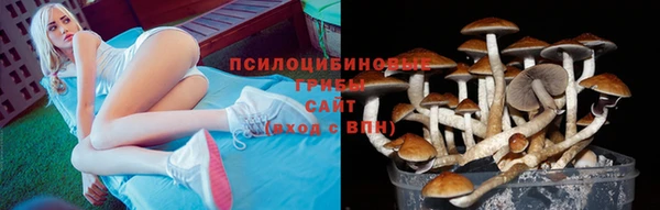 2c-b Армянск