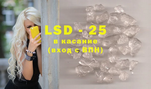 ПСИЛОЦИБИНОВЫЕ ГРИБЫ Арсеньев
