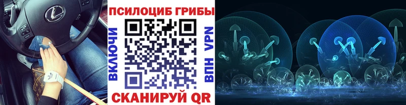 Псилоцибиновые грибы MAGIC MUSHROOMS  закладка  Майский 